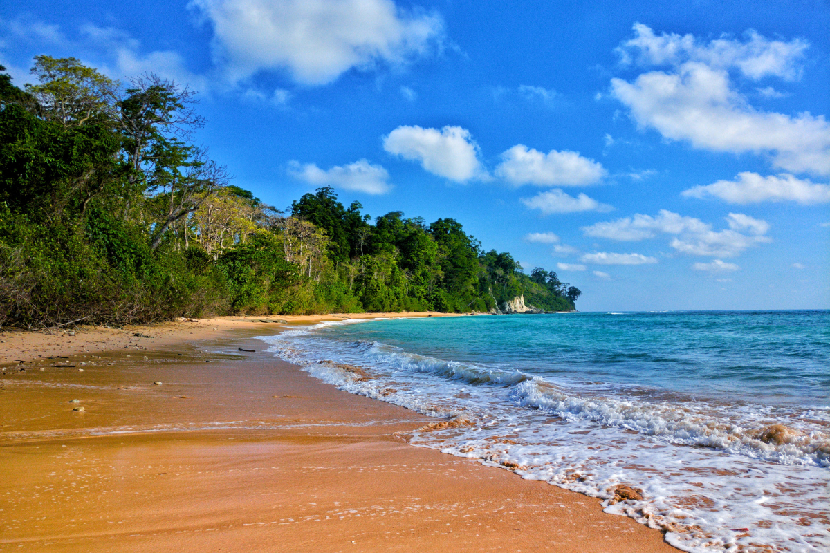 Best Travel Guide for the Andamans ,beach