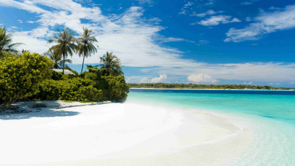 White sandy beach and palm trees on Havelock Island, Andaman. Unforgettable Honeymoon Experiences in Andaman